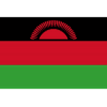 TEAM #18929 logo