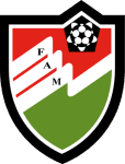 TEAM #19155 logo