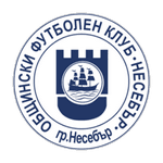 TEAM #1919 logo