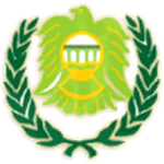 TEAM #19271 logo