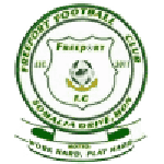 TEAM #19286 logo