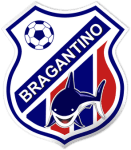 TEAM #19290 logo