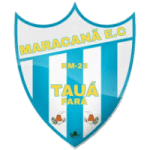TEAM #19314 logo