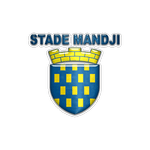 TEAM #19343 logo
