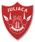 TEAM #19359 logo