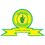 TEAM #19493 logo