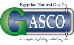 TEAM #19580 logo