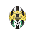 TEAM #19589 logo