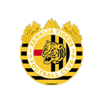 TEAM #19596 logo