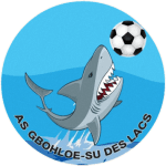 TEAM #19638 logo