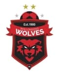 TEAM #19828 logo