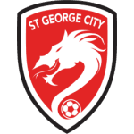 TEAM #19838 logo