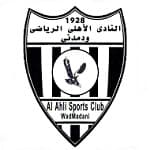 TEAM #19947 logo