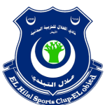 TEAM #19950 logo