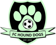 TEAM #20004 logo