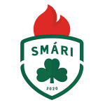 TEAM #20131 logo