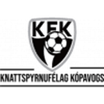 TEAM #20138 logo