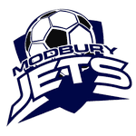 TEAM #20560 logo