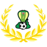 TEAM #20571 logo
