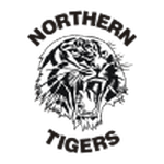 TEAM #20595 logo