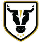 TEAM #20603 logo