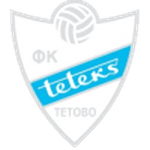 TEAM #21100 logo