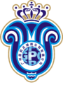 TEAM #213 logo
