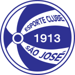 TEAM #21346 logo
