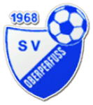 TEAM #22536 logo