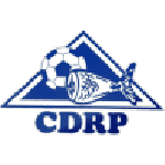 TEAM #2287 logo