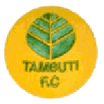 TEAM #24300 logo