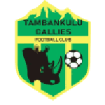 TEAM #24302 logo