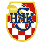 TEAM #2497 logo