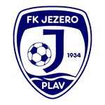 TEAM #2529 logo