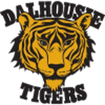 TEAM #25713 logo