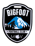 TEAM #25935 logo