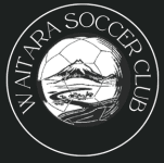TEAM #26002 logo