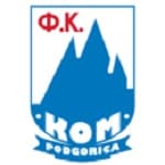 TEAM #2745 logo