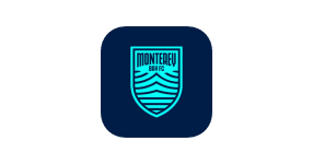 TEAM #27581 logo