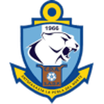 TEAM #2919 logo