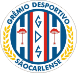 TEAM #3080 logo