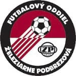 TEAM #310 logo