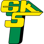 TEAM #312 logo