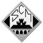 TEAM #3123 logo