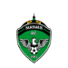 TEAM #3133 logo