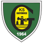 TEAM #315 logo