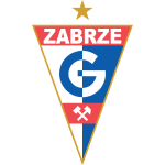 TEAM #317 logo
