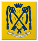 TEAM #3197 logo