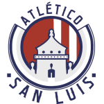 TEAM #3223 logo