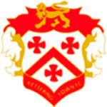 TEAM #3229 logo
